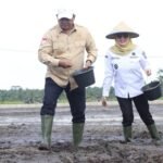 Karang Agung Ilir Jadi Pilot Project Benih IP 300 Di Banyuasin