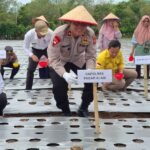 Waka Polres Pagaralam Kompol Wahyu Prasetyo Hadiri Penanaman Bawang Merah Dukung Ketahanan Pangan