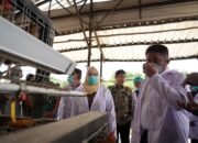 Telur Asal Banyuasin Siap Mendunia ‎