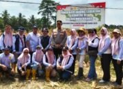 Polres Musi Rawas bersama Forkopimda Panen Raya Jagung Serentak Kuartal III