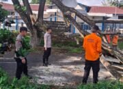 Polres Pagaralam Bersama BPBD Evakuasi Pohon Tumbang