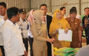 Wakil Bupati Lahat Widia Ningsih Lakukan Sidak Pasar dan Distributor Barang