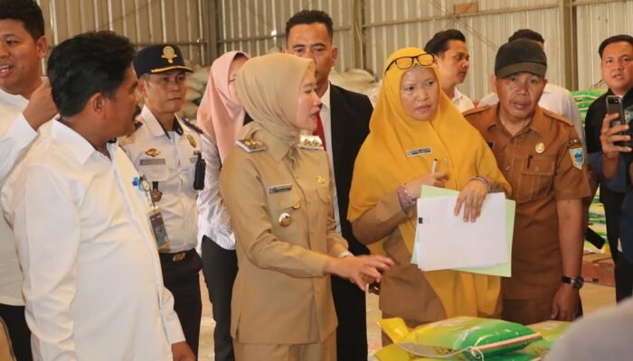 Wakil Bupati Lahat Widia Ningsih Lakukan Sidak Pasar dan Distributor Barang
