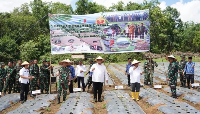 Sinergitas Bersama, Dandim dan Pemkab Banyuasin Tanam 30 Ribu Bibit Cabai