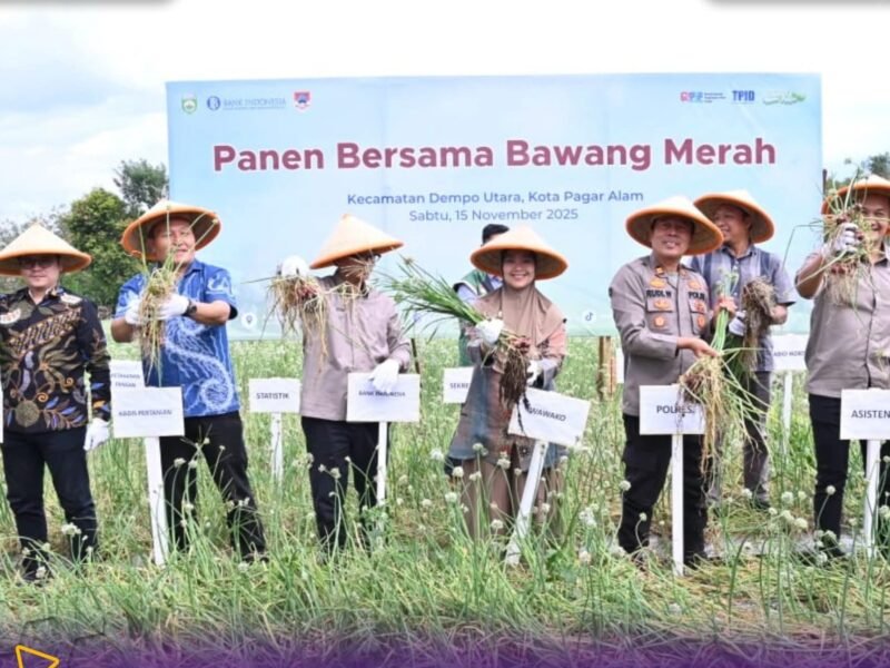 Dukung Swasembada Pangan, Wakil Wali Kota Hj Bertha Panen Raya Bawang Merah