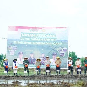 Gubernur Sumsel H. Herman Deru Yakin Banyuasin Penghasil Gabah Nomor 1 Nasional