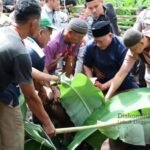 Wali Kota Lubuk Linggau H. Rachmat Hidayat Serahkan Bantuan Sapi Kurban Presiden RI Prabowo