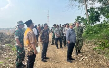 Bupati Bursah Zarnubi Tinjau Pengembangan Sektor Pertanian dan Perikanan Didampingi Kadis PUPR