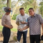 Pemkot Pagar Alam Siapkan 10 Hektare Lahan Untuk Tanam Bawang Putih