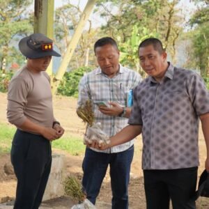 Pemkot Pagar Alam Siapkan 10 Hektare Lahan Untuk Tanam Bawang Putih