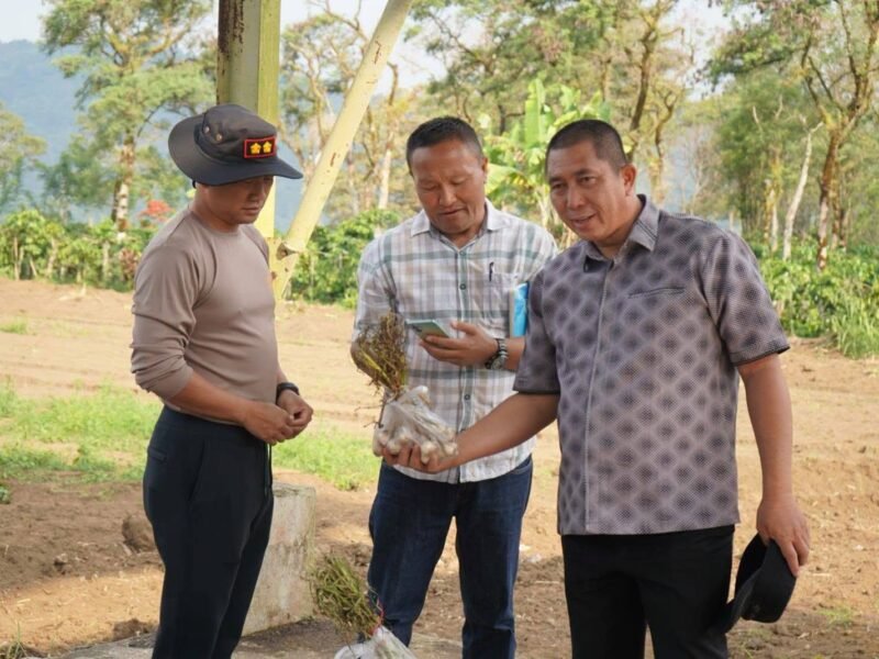 Pemkot Pagar Alam Siapkan 10 Hektare Lahan Untuk Tanam Bawang Putih