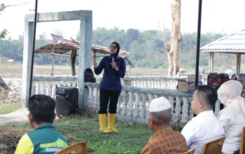 Bendungan Desa Padang Kembali Berfungsi, 300 Hektare Sawah Terairi